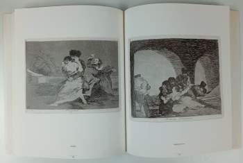 Francisco de Goya: Francisco de Goya