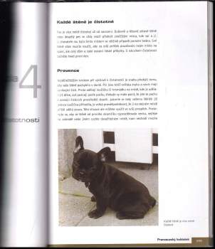 Esther Verhoef-Verhallen: Francouzský buldoček