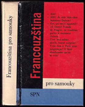 Francouzština pro samouky