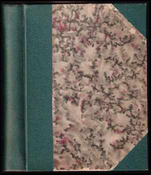 Frank a Flink v Maroku + PODPIS AUTORA : román - Franta Kocourek, Milan Kocourek (1931, Evžen J. Rosendorf) - ID: 461286