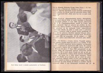 Erich Kulka: Frankfurtský proces