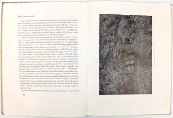 František Kovárna: František Kaván