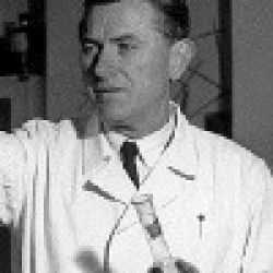 František Šantavý
