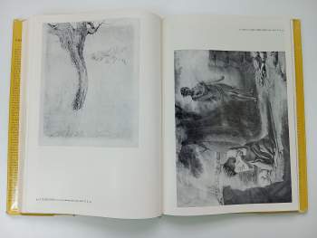 Eva Petrová: František Tkadlík