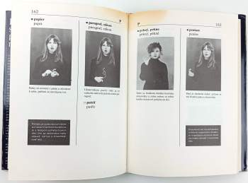 Jozef Mistrík: Frekvenčný slovník posunkovej reči