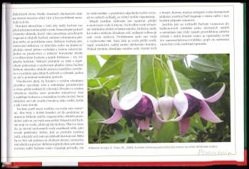 Josef Bištiak: Fuchsie