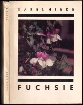 Fuchsie