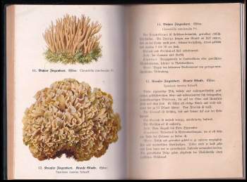 Edmund Michael: Führer für Pilzfreunde