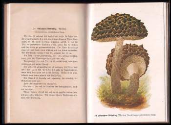 Edmund Michael: Führer für Pilzfreunde