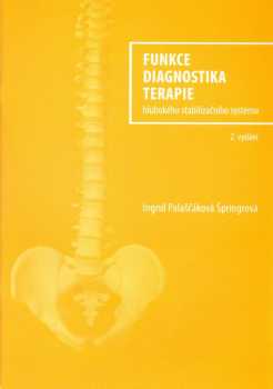 Funkce, diagnostika, terapie hlubokého stabilizačního systému