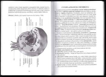 Jarmila Riegerová: Funkční anatomie I