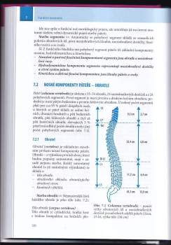 Ivan Dylevský: Funkční anatomie