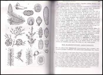 Stanislav Rosypal: Fylogeneze, systém a biologie organizmů
