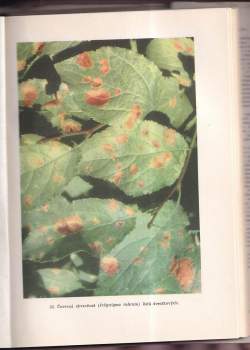 Jaroslav Smolák: Fytopathologie
