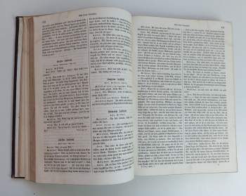 Gotthold Ephraim Lessing: G. E. Lessing's gesammelte Werke in zwei Bänden - Zwei Bände in einem Band