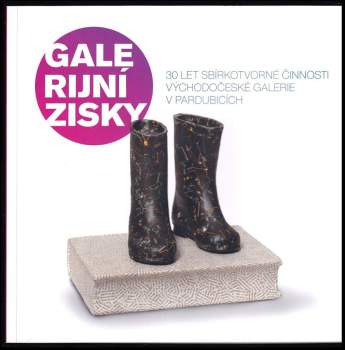 Vít Bouček: Galerijní zisky