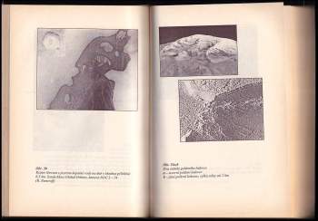 Ivo Wiesner: Gambit mahátmů