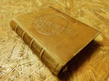 Alfred de Musset: Gamiani