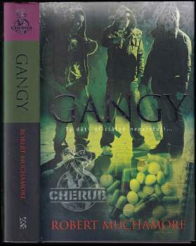 Gangy