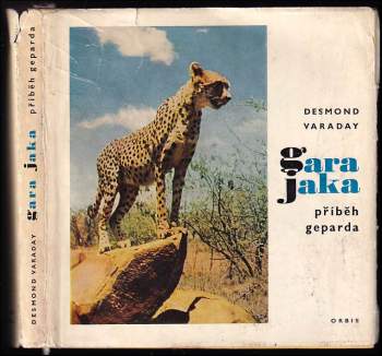 Desmond Varaday: Gara Jaka
