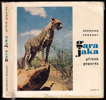 Desmond Varaday: Gara Jaka