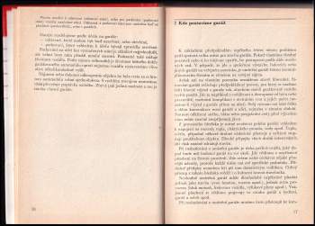 Jaromír Doležal: Garáž svépomocí