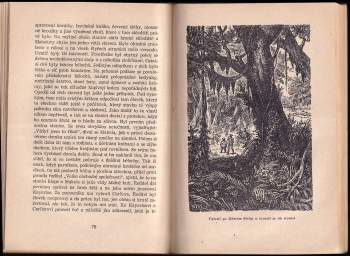 Joseph Conrad: Gaspar Ruiz a jiné povídky - BEZ OBÁLKY