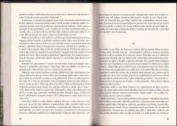 Esteban Martín Morales: Gaudího klíč