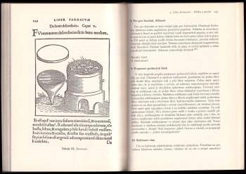 Ernst Darmstaedter: Geberova alchymie