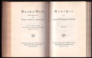 Johann Wolfgang von Goethe: Gedichte