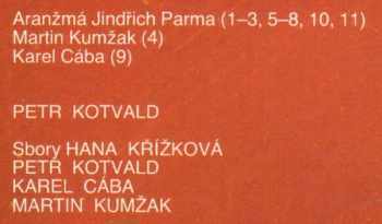 Petr Kotvald: Gejzír