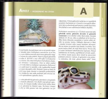 Jaroslav Forejt: Gekončík noční