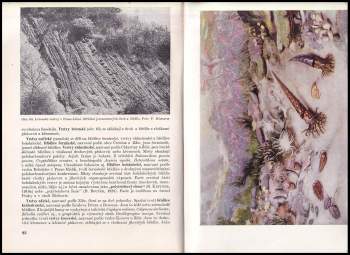 Geologická minulost Země : úvod do historické geologie a paleontologie