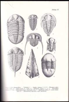 Bedřich Bouček: Geologie