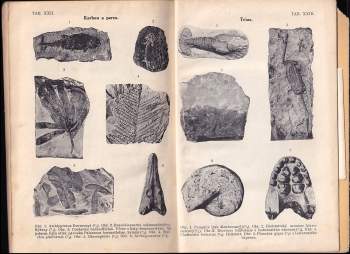 Josef Woldřich: Geologie pro sedmou třídu reálnou