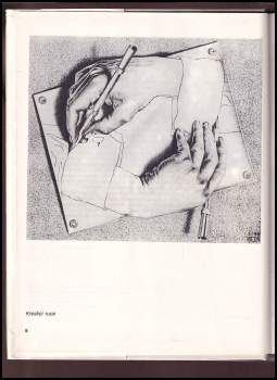 M. C Escher: Geometrická rapsódie