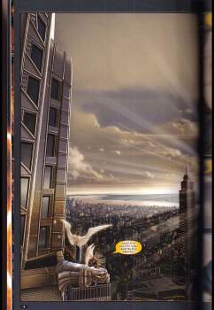 Garth Ennis: Ghost rider