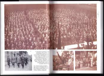 David John Cawdell Irving: Goebbels