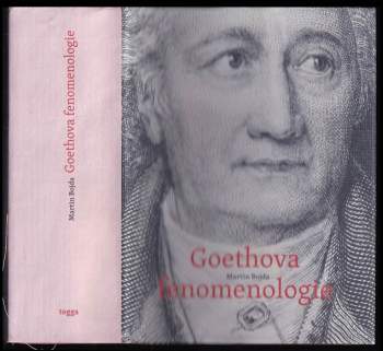 Goethova fenomenologie