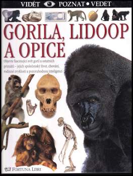 Gorila, lidoop a opice