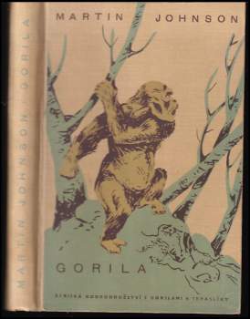 Martin Johnson: Gorila