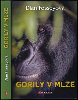 Gorily v mlze