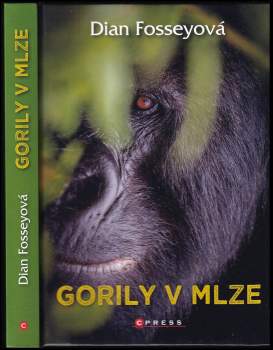 Gorily v mlze