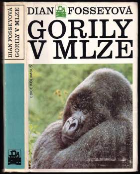 Gorily v mlze