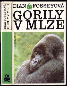 Gorily v mlze