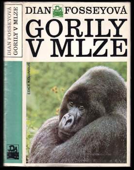 Gorily v mlze
