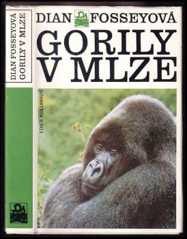 Gorily v mlze