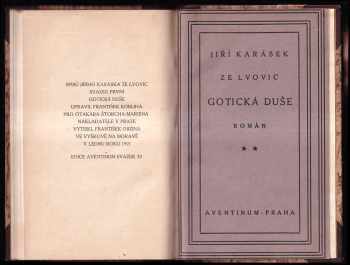 Jiří Karásek ze Lvovic: Gotická duše - román