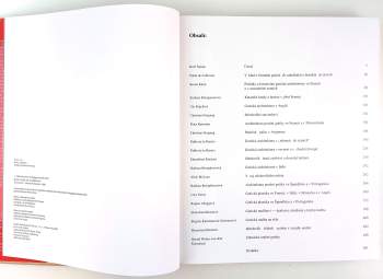 Achim Bednorz: Gotika