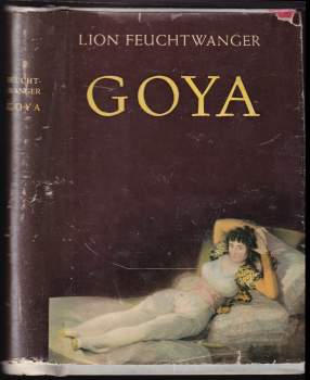 Goya, čiže, Krutá cesta poznania